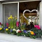 Hadassa Uetendorf